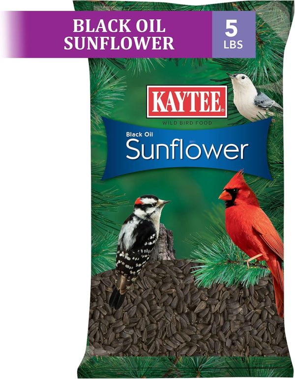 Kaytee Wild Bird Black Oil Sunflower Food, 5 Pounds - Image 3