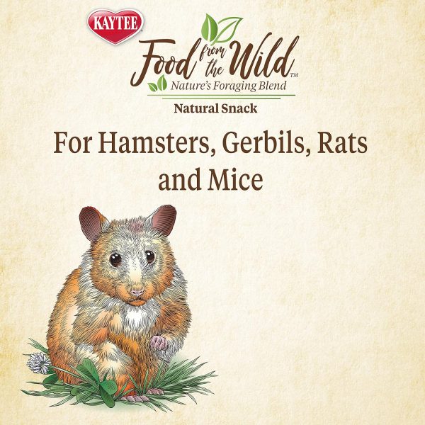 Kaytee Food from The Wild Natural Snack for Pet Hamsters, Gerbils, Rats and Mice, 2 Ounces - Image 5