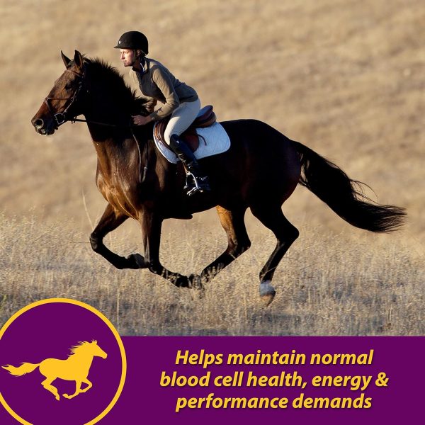 Farnam Horse Health Red Cell, Liquid Vitamin-Iron-Mineral Supplement for Horses, Helps Fill Important Nutritional Gaps in Horse's Diet, 1 Gallon, 128 Oz., 64-Day Supply - Image 2