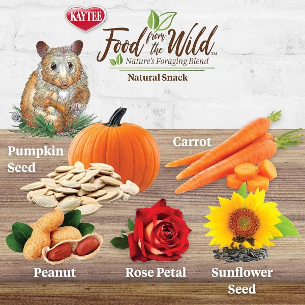 Kaytee Food from The Wild Natural Snack for Pet Hamsters, Gerbils, Rats and Mice, 2 Ounces - Image 2