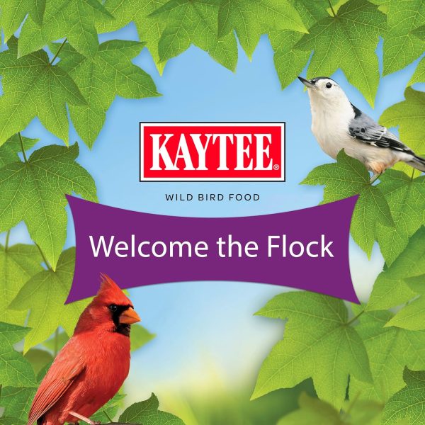 Kaytee Nut and Fruit Blend, Premium Wild Bird Food, Specially Blended for Colorful Songbirds - Image 9