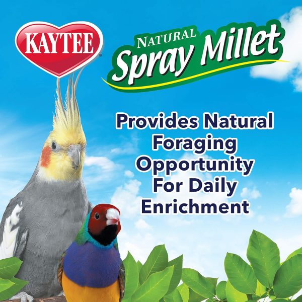 Kaytee Spray Millet Treat for Pet Birds, 7 Ounce - Image 5