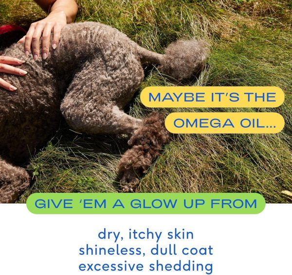 Native Pet Omega 3 Fish Oil for Dogs 8 oz - Made with Wild Alaskan Salmon Oil for Dogs - EPA DHA - Supports Itchy Skin, Mobility - Liquid Pump is Easy to Serve - Omega 3 Oil for Dogs - Image 3