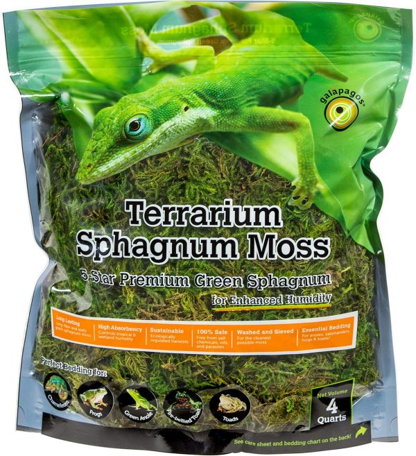 Galápagos (05213) Terrarium Green Sphagnum Moss, Natural, 4 Quart