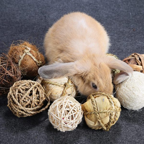 Small Animals Play Balls, Chew Grass Balls & Rolling Chew Toys for Bunny, Improve Pets Dental Health for Rabbit, Chinchilla, Guinea Pigs, Hamsters, Gerbils, Rats, Mice （9 Pieces） - Image 7