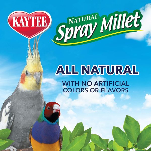 Kaytee Spray Millet Treat for Pet Birds, 7 Ounce - Image 6