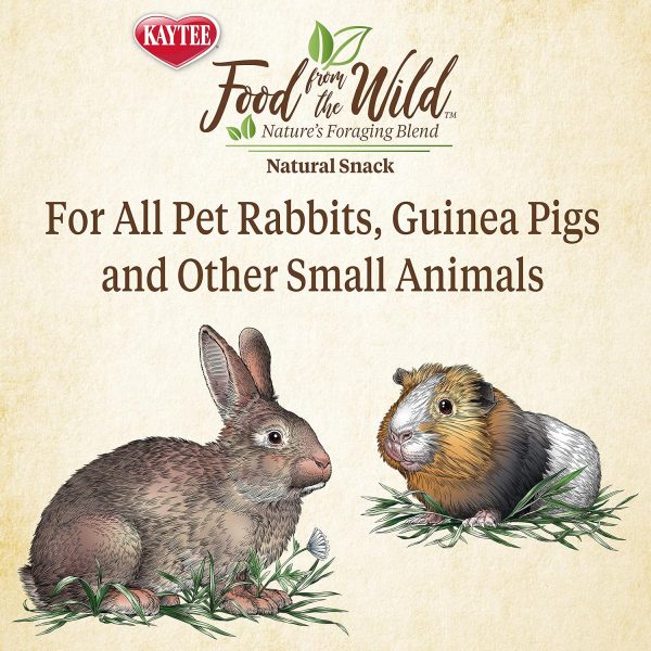 Kaytee Food from The Wild Natural Snack for Pet Rabbits, Guinea Pigs And Other Small Animals, 1 Ounce - Image 5