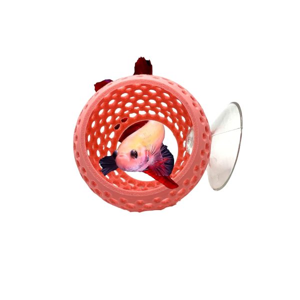 CTWPets Betta Bulb Hide | Betta Rest Fish Tank Ornament | Aquarium Cave with Suction Cup for Small Fish Tank, Betta Habitat, Shrimp Hideout, Aquatic Decor (Bubblegum Pink)