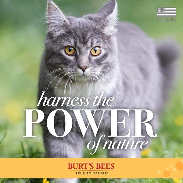 Burt's Bees for Pets Cat Naturally Derived Dander Reducing Spray with Soothing Colloidal Oat Flour & Honey - Cruelty Free, Made in USA, 10 oz Bottle - Image 7