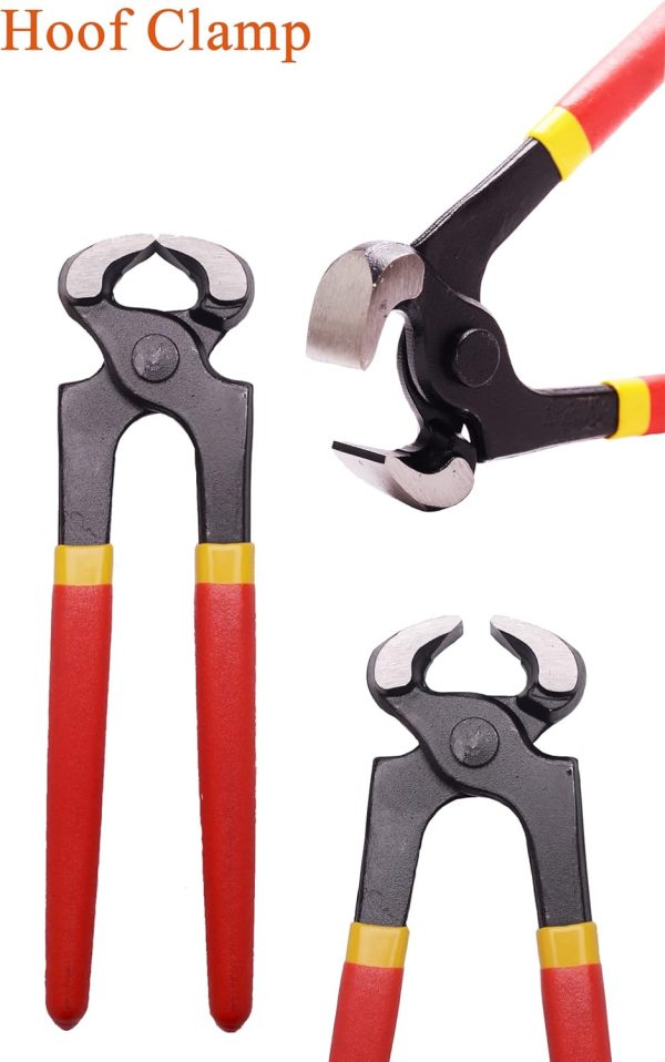 8 inch Farrier Hoof Tool Kit（5 Piece） Mini Rasp Hoof File Goat Pig Equine Metal Shears Farriers Hoof Nipper Cutter Handle Knife Stable Supplies - Image 3