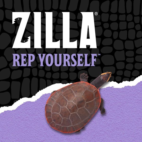 Zilla Water Conditioner, Makes Tap Water Safe for Aquatic and Semi-aquatic Species of Reptiles and Amphibians - Image 9