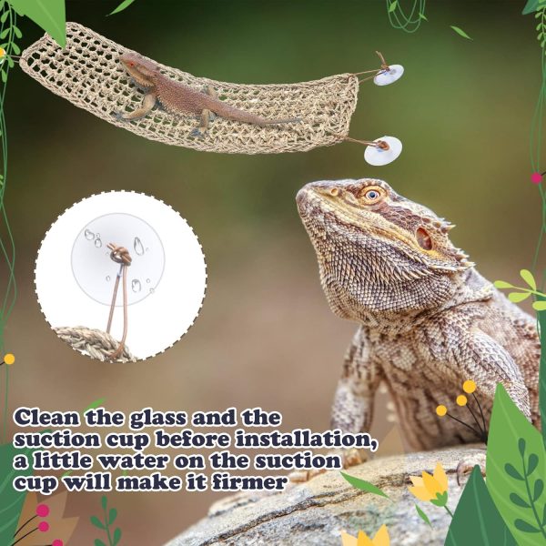 Silkfly 2 Pieces Bearded Dragon Hammock Lizard Reptile Climbing Lounger Seagrass Fiber Habitat Tank Accessories Jungle Toys for Hermit Crab Gecko Snake Iguana Amphibian - Image 4