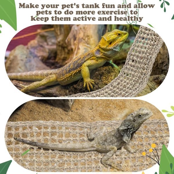 Silkfly 2 Pieces Bearded Dragon Hammock Lizard Reptile Climbing Lounger Seagrass Fiber Habitat Tank Accessories Jungle Toys for Hermit Crab Gecko Snake Iguana Amphibian - Image 6