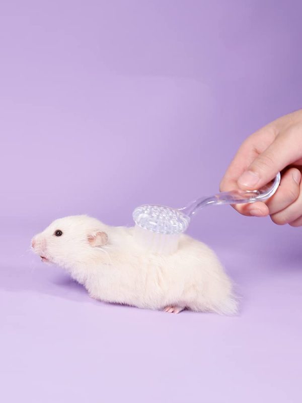 3 Pack Small Animal Grooming Brush - Hair Brush with Lid Soft Cleansing Bristles for Hamster Guinea Pig Rabbit Chinchilla Ferret Massage Combs Cleaning Supplies (3 Pack, White+Purple+Blue) - Image 8