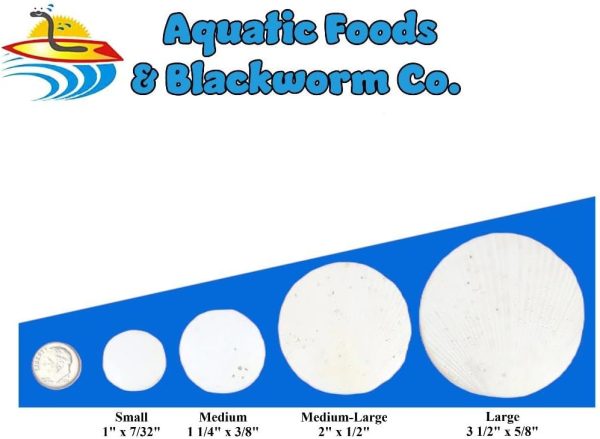 Aquatic Foods Inc. Calcium Enriched Sinking Food Disks for Shrimp, Snails, Crabs, Crayfish, Hermit Crabs, Plecos, Catfish, Bottom Fish, All Tropical Fish. 25 Small & 25 Medium Discs Jar - Image 3