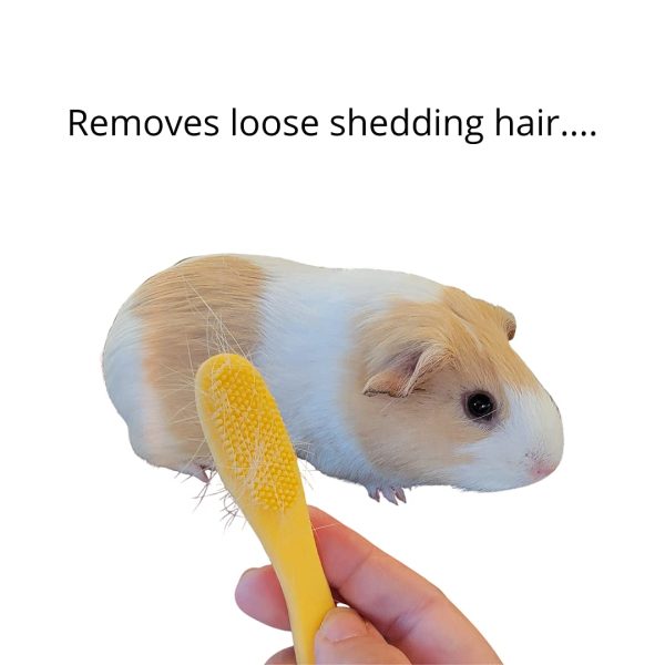 HuggleBrush Original Yellow Guinea Pig Brush, Rabbit Small Pet Grooming, De-shedding, Bonding - Image 4