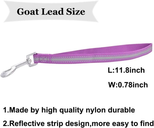 8 Pieces Goat Lead and Goat Collars Set, Nylon 11 inch Goat Lead with Reflective Strip Design and Nylon Goat Collar for Small Farm Animal Goat Cow Horse Sheep (Multicolor) - Image 3