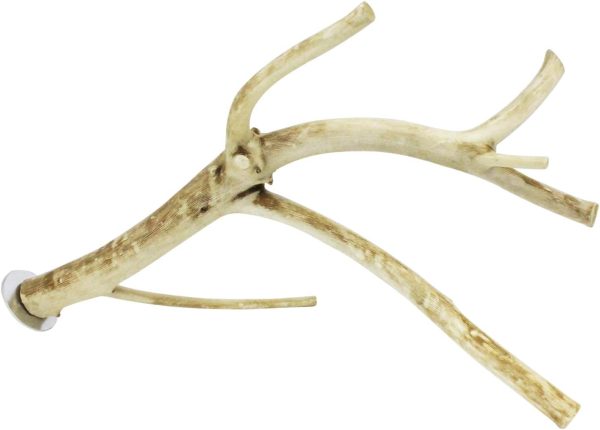 Multi-Branch Perch (Medium) - Durable Natural Climbing Branch Perch Cage Accessory - Sugar Gliders, Squirrels, Prairie Dogs, Degus, Marmosets, Monkeys, Parrots, Birds, Rats, Reptiles, Amphibians