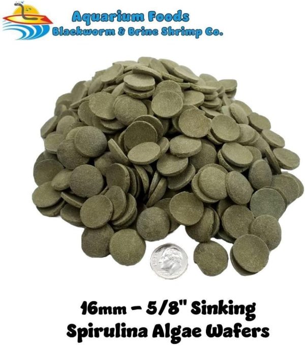 Aquatic Foods Inc. 16mm - 5/8" Medium/Large Sinking Wafers of Algae, Spirulina, Veggies for All Tropical Fish, African Cichlids, Shrimp, Snails, Crabs, Catfish, Plecos..…1-lb 12.3oz Clear Bag - Image 3