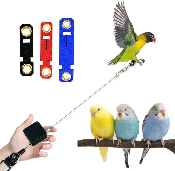 Bird Harness and Leash Retractable Pet Parrot Harness Anti-Bite Pet with Soft Foot Ring