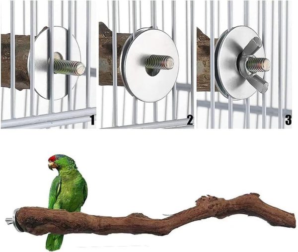 Natural Parrot Perch Wild Grape Stick Bird Standing Pole Claw Grinding Fork Parrot Climbing Standing Branch Toy Chewable Cage Accessory Small Budgies Love Birds 4PCS - Image 6