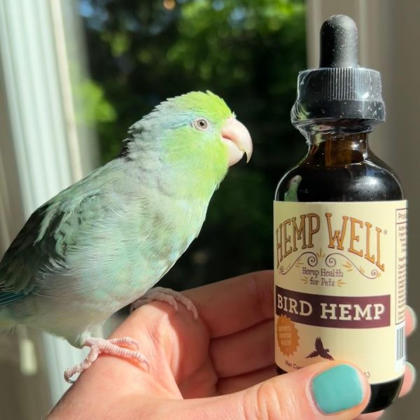 Organic Hemp Well Bird Hemp Oil – 2 Ounces. Parrot, Parakeet, Cockatiel and All Birds for Supporting Health, Feather Plucking, Destructive Behavior Reduction, Immune Support, and Relaxation. - Image 6