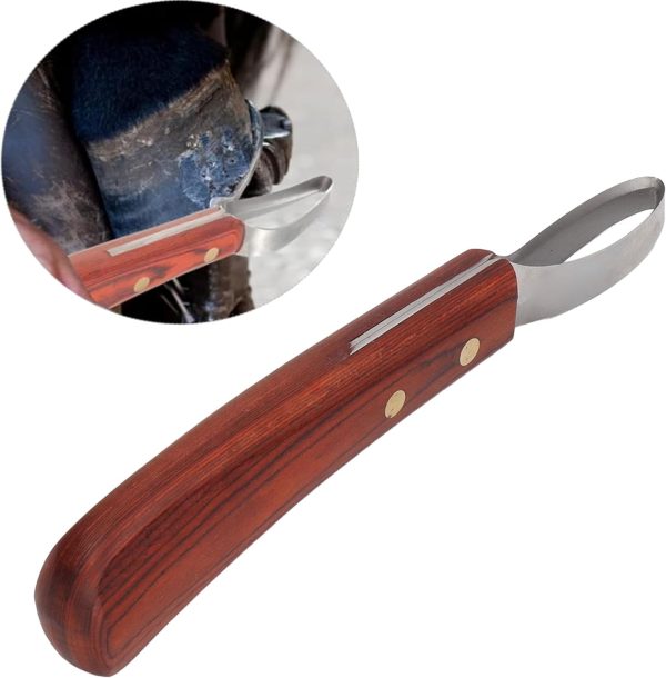 CHICIRIS Hoof Knife, Double Edged Hoof Trimming Knife with Wooden Handle Horse Farrier Tool, Stainless Steel Blade, Multifunctional Cow Horseshoe Knife for Hoof of Cows and Horses - Image 2