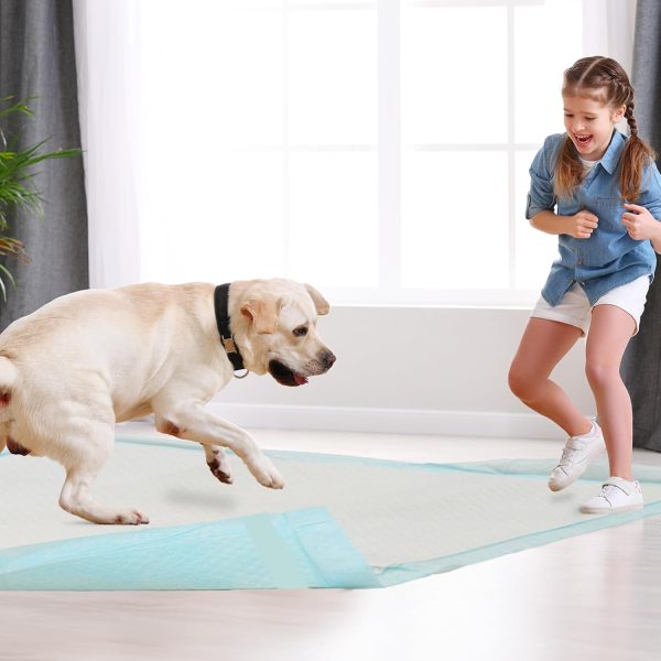 Dog Pee Pads 22"x23" , 30 Count Disposable Puppy Pads Pee Pads for Dogs, Pet Training Pads Super Absorbent Leak-Proof Pee Pads (30 Count) - Image 7