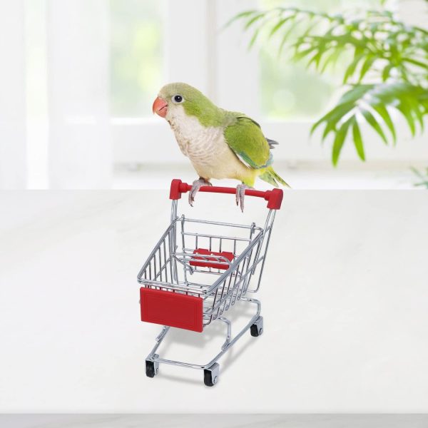 Wontee Bird Toys Mini Shopping Cart Skateboard Ring Toy for Playing and Training of Budgies Cockatiels Caique Quaker Parrot Conures (3 Pack) - Image 4