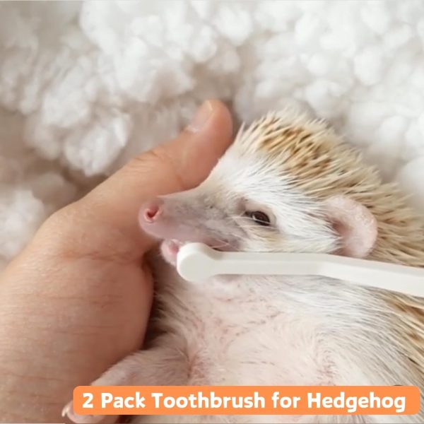 2 Pcs Pet Toothbrush for Hedgehog Small Animal Toothbrush Mini Head Soft Bristles Gentle Pet Toothbrush for Small Pets Dental Care Hedgehog Supplies Hedgehog Grooming Accessories (2 Pack) - Image 8