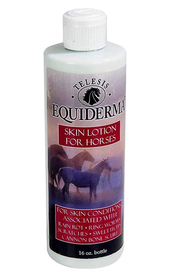 EQUIDERMA (2 Pack) Horse Skin Lotion for Rain Rot, Ringworm, Cannon Bone Scurf with 10ct Pet Faves Pet Wipes - Image 2