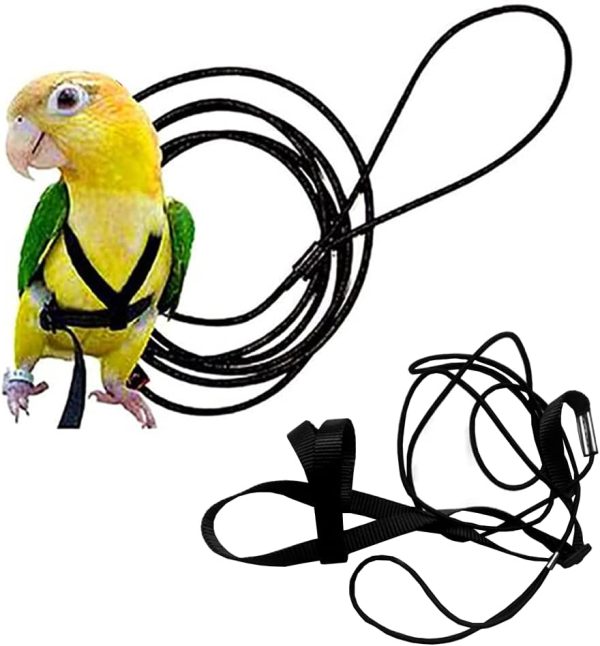 Adjustable Birds Harness and Leash Parrot Harness Leash Training Supplies Pet Anti-bite Outdoor Flying Rope for Conures Budgerigar Lovebird Cockatiel Mynah (M, Black)