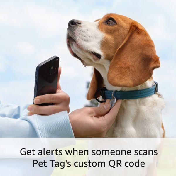 Ring Pet Tag | Easy-to-use tag with QR code | Real-time scan alerts | Shareable Pet Profile | No subscription or fees - Image 3