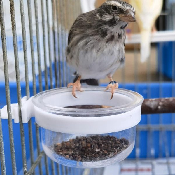 4 pcs Detachable Transparent Bowls for Canary Finch Parrot Seed Water Feeder - Image 5