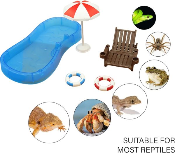 Tree Frog Tank Accessories - Novelty Pool Theme Set Turtle Habitat Decoration Reptile Water Food Bowl for Amphibian Aquatic Frog Toad Lizard Leopard Gecko Hermit Crabs Snake Spider Scorpion (Pool Set) - Image 3