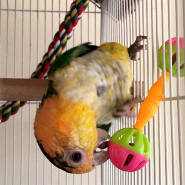 2 Pcs Bird Parrot Toy Rattle Birds Fun Exercise Plastic Double-Headed Bell Pet Toys Small and Medium Birds Foraging Foot Toy,Bird Toys, Pet Supplies - Image 2