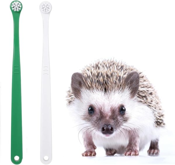 2 Pcs Pet Toothbrush for Hedgehog Small Animal Toothbrush Mini Head Soft Bristles Gentle Pet Toothbrush for Small Pets Dental Care Hedgehog Supplies Hedgehog Grooming Accessories (2 Pack)