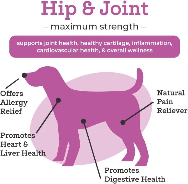 VetPro Dog Hip and Joint Supplement - Pain and Inflammation Relief Chews with Glucosamine, Chondroitin, MSM, Turmeric, Vitamin C, Omega 3 - Treats Hip Dysplasia, Arthritis - Dogs Chewable Supplements - Image 3