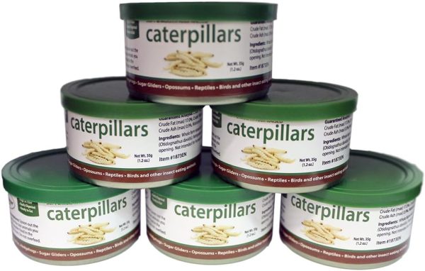 Canned Caterpillars (1.2 oz. 6 Pack) - Healthy High Protein Insect Treat - Hedgehogs, Sugar Gliders, Reptiles, Wild Birds, Chickens, Lizards, Bearded Dragons, Skunks, Opossums, Fish, Amphibians