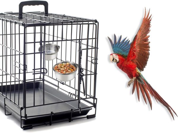 2 Pack Stainless Steel Bird Bowls for Cage Parrot Food Water Bowl Bird Feeding Dish Cups Parrot Food Water Feeder Pet Hanging Bowl Crate Coop Cups with Clamp Holder for Small Animal Dog Parakeet - Image 7