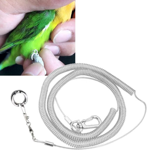 Zerodis Parrot Flying Rope,19.7ft Ultra Light Anti Bite Portable Bird Flying Training Leash Parrot Foot Chain Pet Bird Supplies for Macaw African Greys Parakeet Cockatoo - Image 6