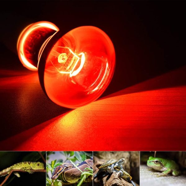 Pet Supplies 50w Infrared Heating Lamp 2 Pack, 110v E27 Basking Spot Light Bulbs for Reptile and Amphibian, as Bearded Dragons, Turtles, Ball Pythons, Red - Image 6