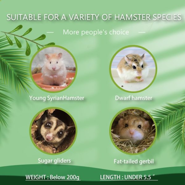 Hamster Forest Lookout Wood House Fun House Double-Decker Hut for Young Dwarf Gerbil Mouse Mice Rat Small Animals(Small Size Only for Small Hamster) - Image 3