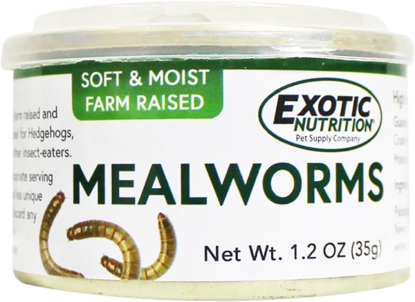 Canned Mealworms (1.2 oz.) - Healthy High Protein Insect Treat - Hedgehogs, Sugar Gliders, Reptiles, Wild Birds, Chickens, Lizards, Bearded Dragons, Skunks, Opossums, Fish, Amphibians, Turtles