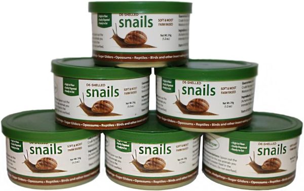 Canned Snails (1.2 oz. 6 Pack) - Healthy High Protein Insect Treat - Hedgehogs, Sugar Gliders, Reptiles, Wild Birds, Chickens, Lizards, Bearded Dragons, Skunks, Opossums, Fish, Amphibians, Turtles