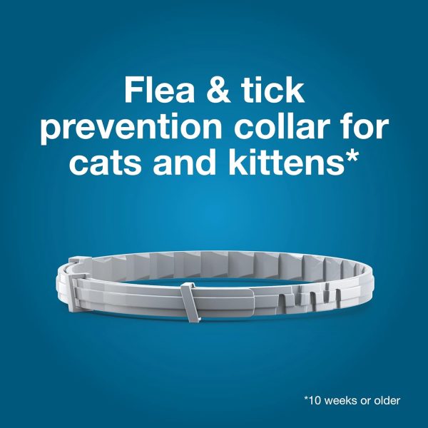 Seresto Cat Vet-Recommended Flea & Tick Treatment & Prevention Collar for Cats | 8 Months Protection - Image 3