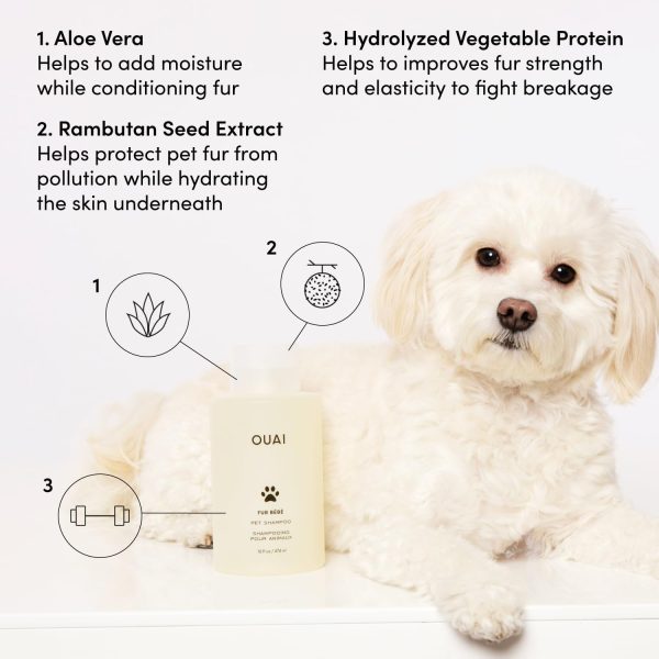 OUAI Fur Bébé Pet Shampoo, Mercer Street Scent - Dog Shampoo and Coat Wash for Hydrating, Cleansing and Adding Shine to Pet Hair - Pet Supplies by OUAI (16 Fl Oz) - Image 3