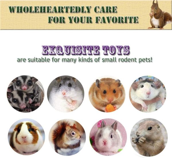 10 Pack Small Animal Combo Wood Activity Toys, Hamsters Chew Toys, Rat Chinchilla Snacks Toys for Pets Accessories - Image 5