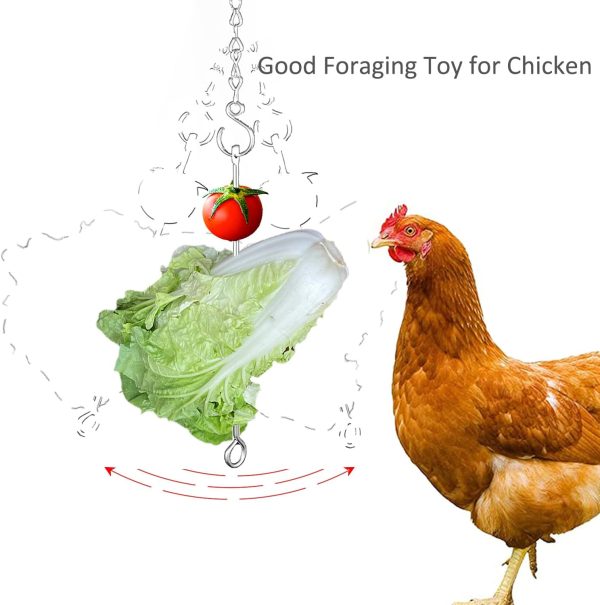 Chicken Vegetable Hanging Feeder Toy for Hens Pet Chicken Veggies Skewer Fruit Holder for Hens Large Bird - Image 4