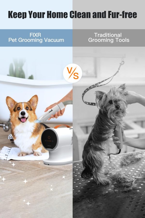 Dog Vacuum for Shedding Grooming, 12000pa Suction Dog Hair Vacuum, Pet Vacuum Grooming Kit with 2l Dust Cup, Low Noise, 3 Levels, 5 Grooming Tools - Image 3